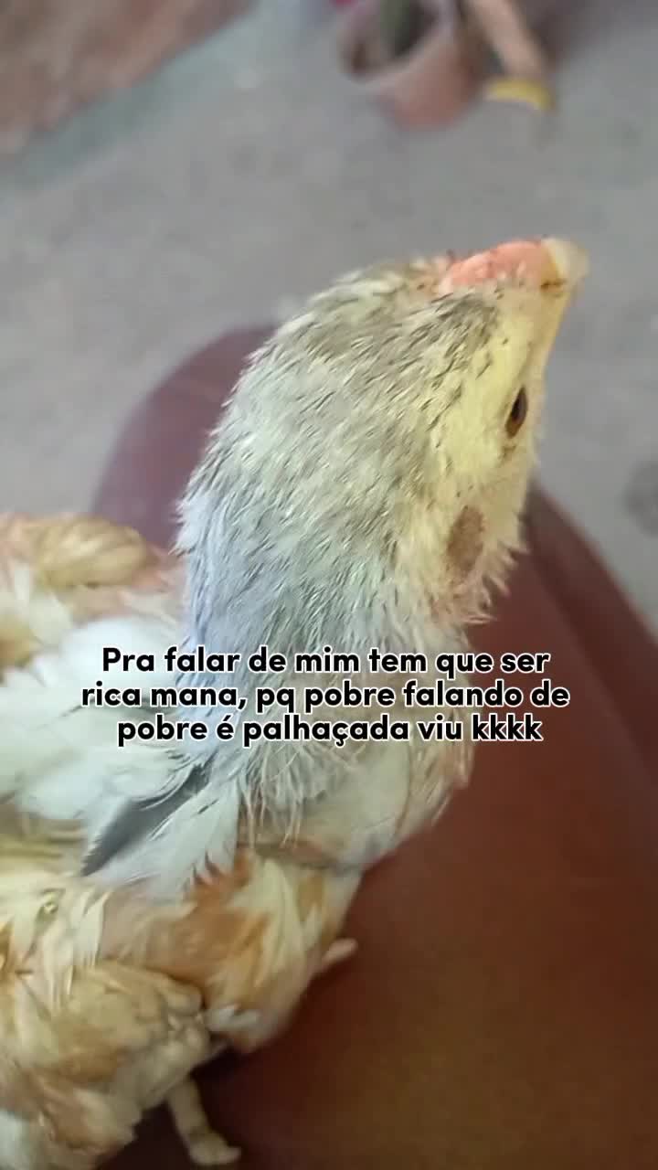 @@morenah_&uacute;nica🥰