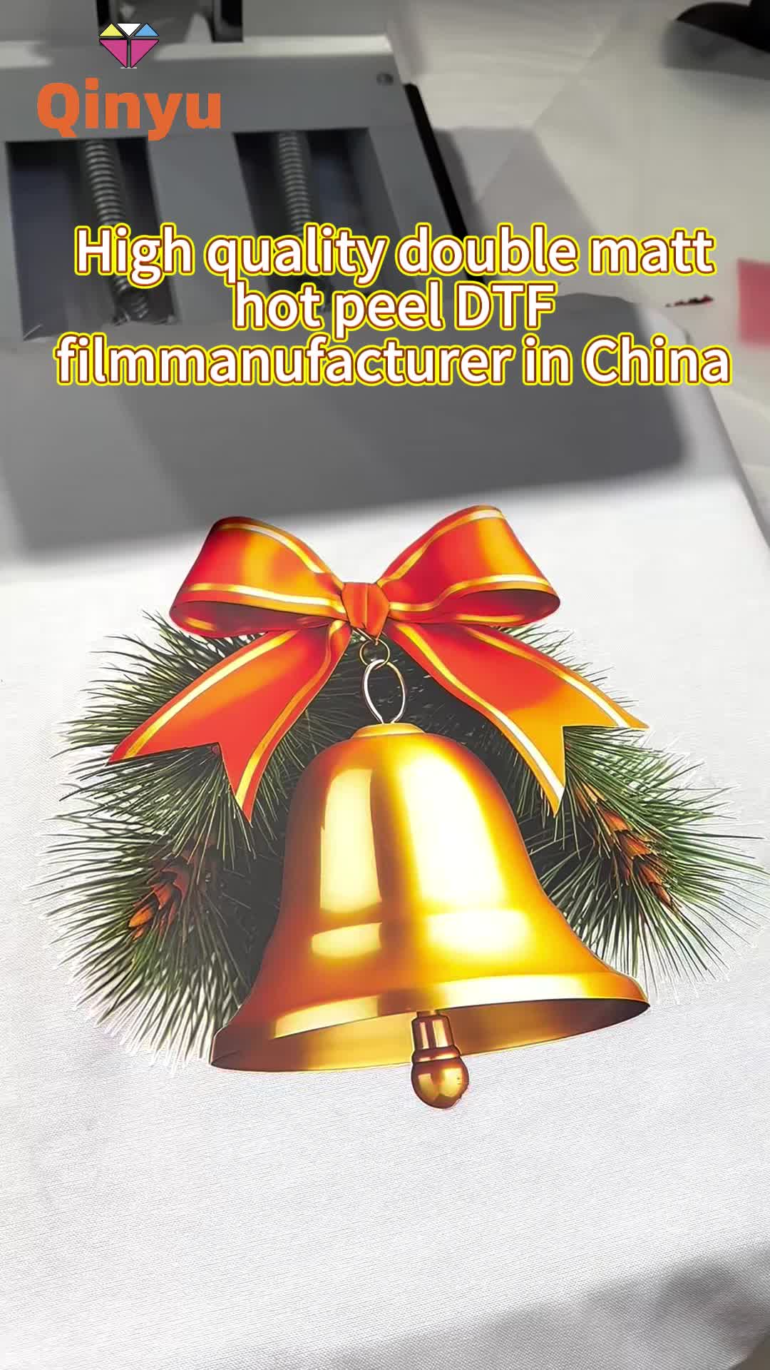 @Qinyu DTF Printer Factory