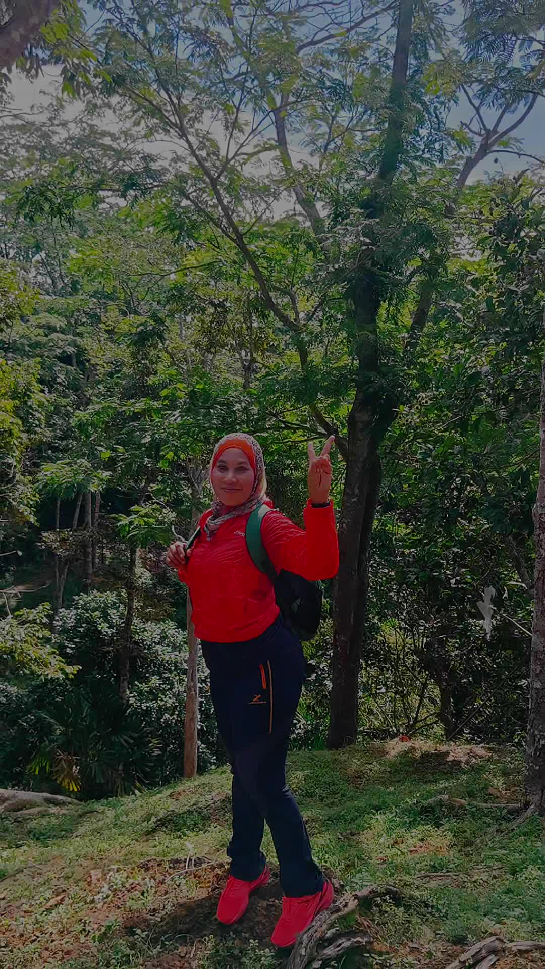 @Sakura Dew