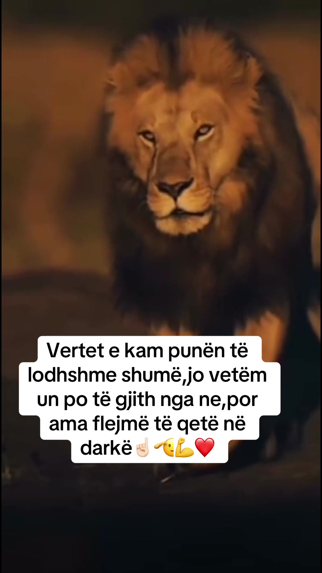 @Vdes per këto te dyja😻😻