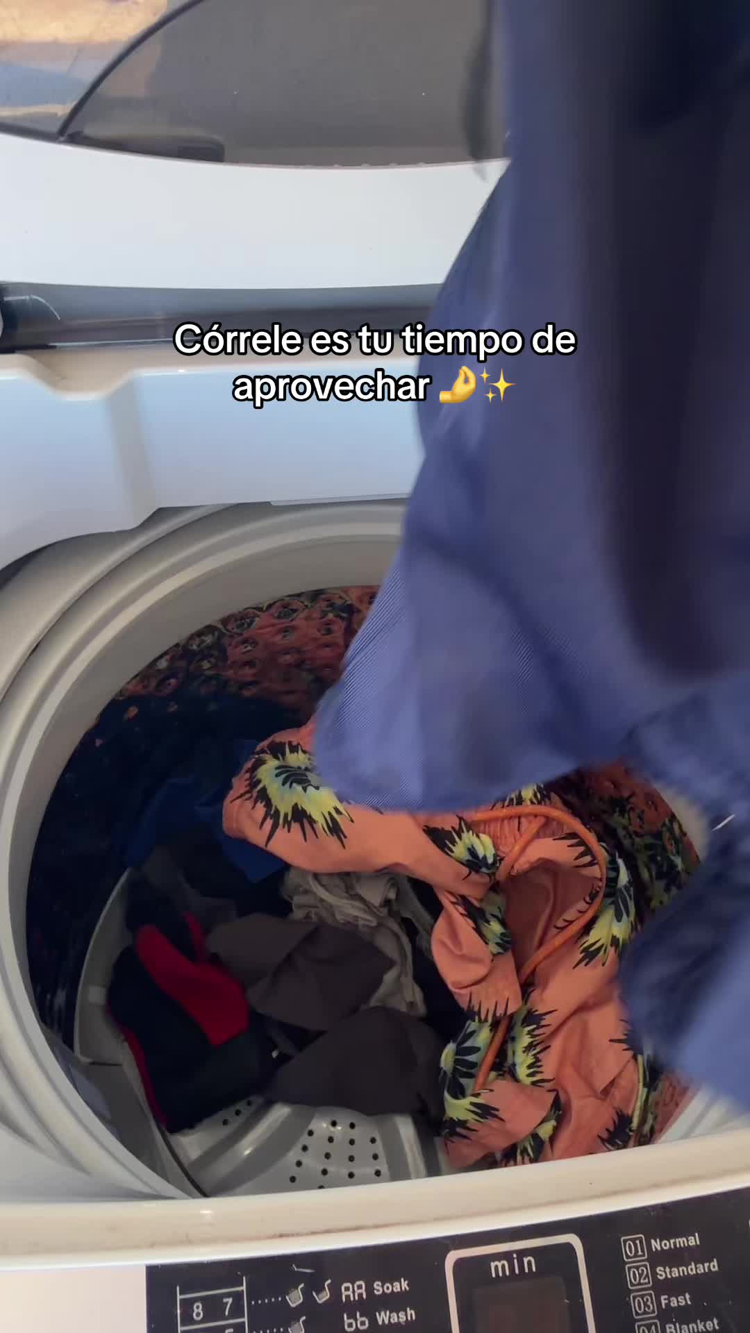@alivalenciall