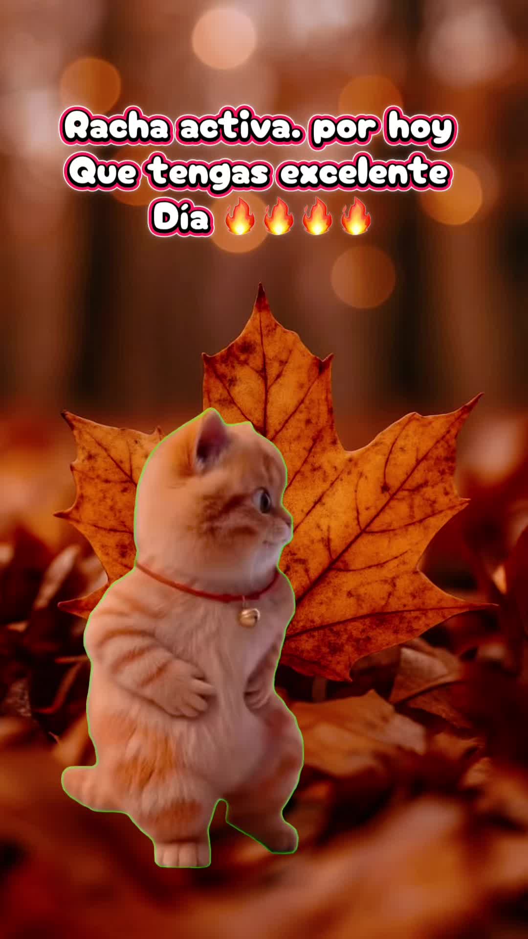 @Hernández_02