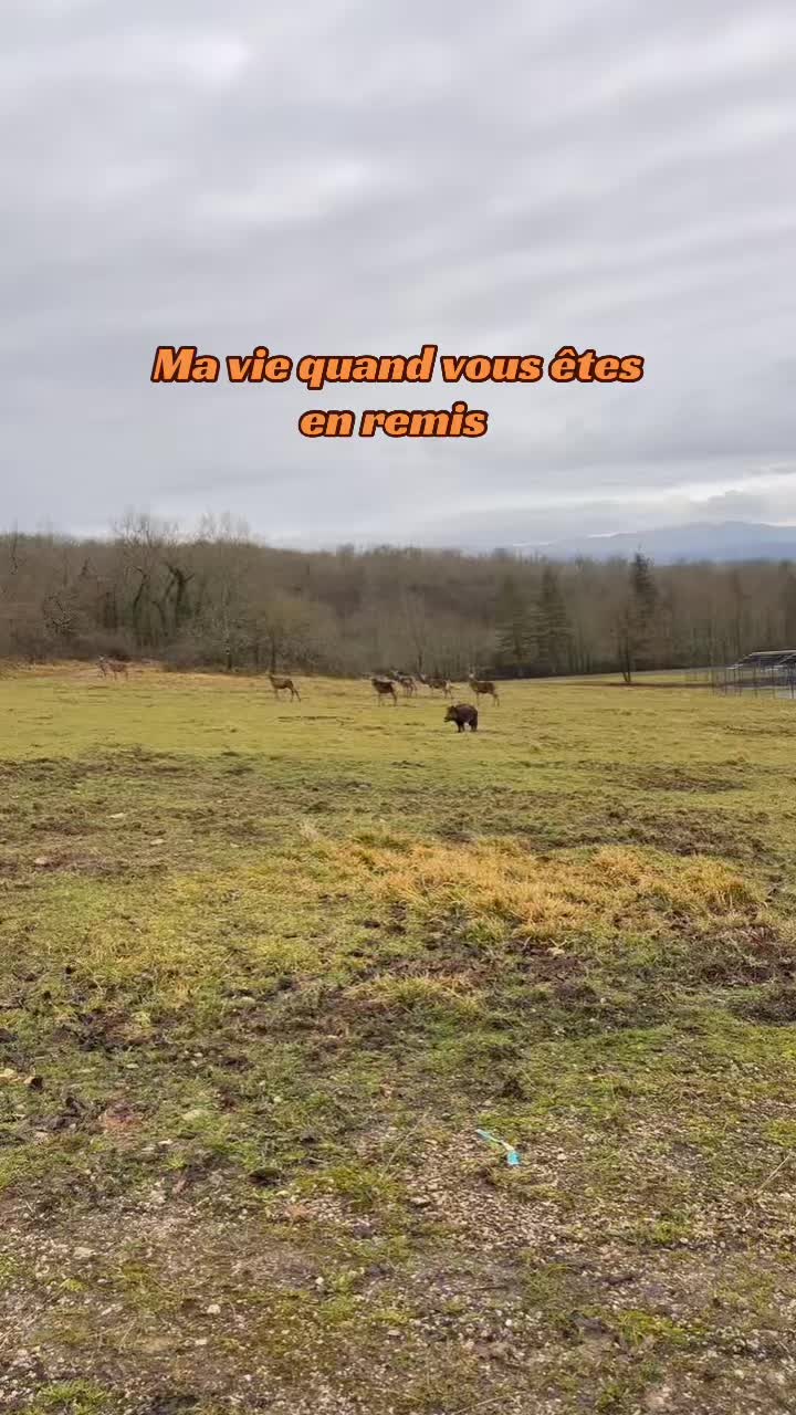 @laurine
