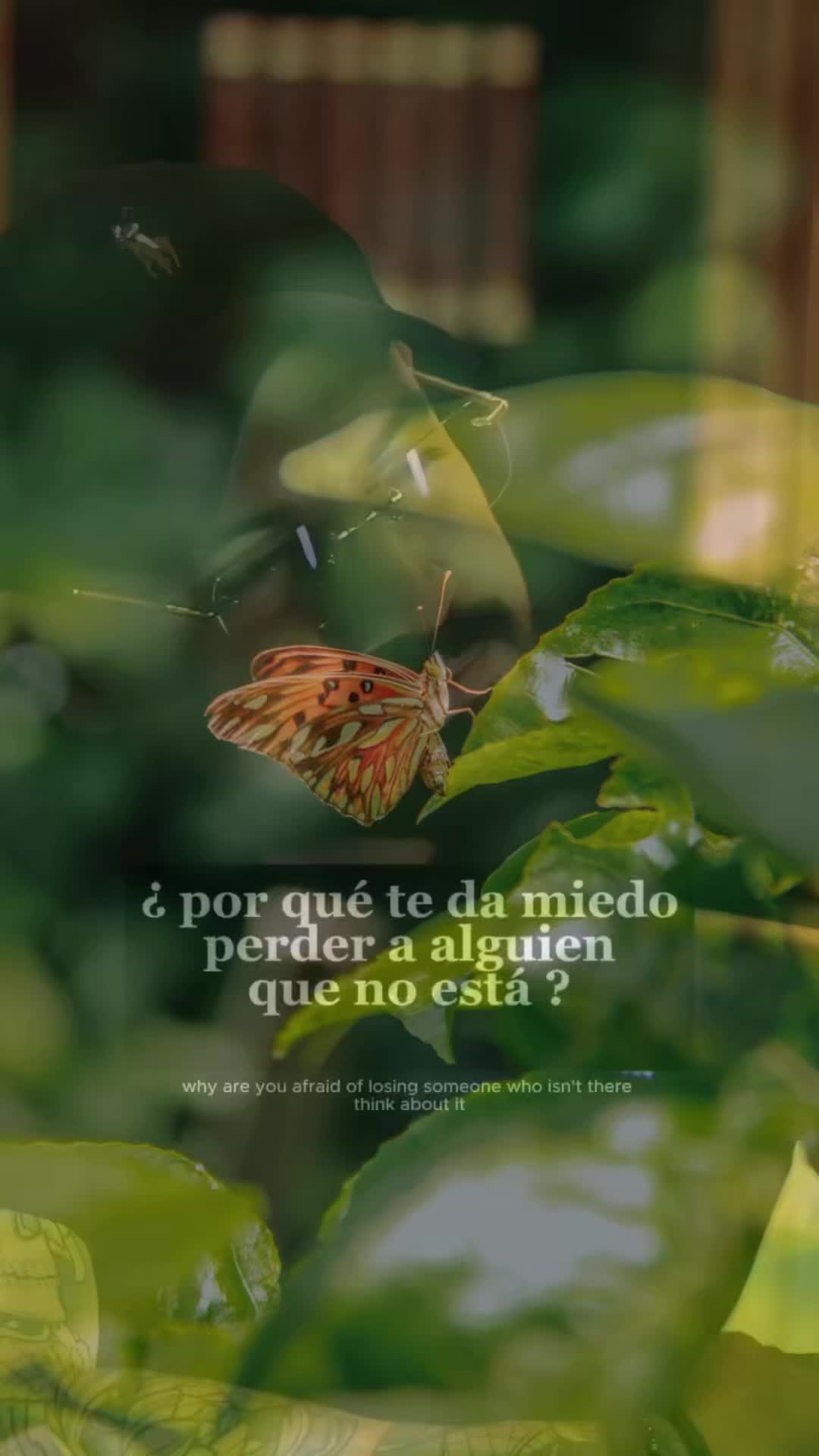 @Diane🦋