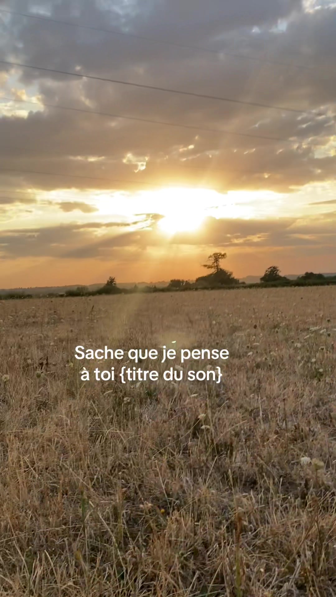@mathilde_lbjr