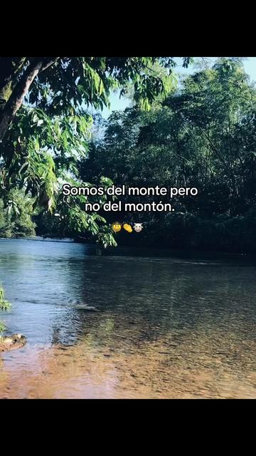 @Villa_00