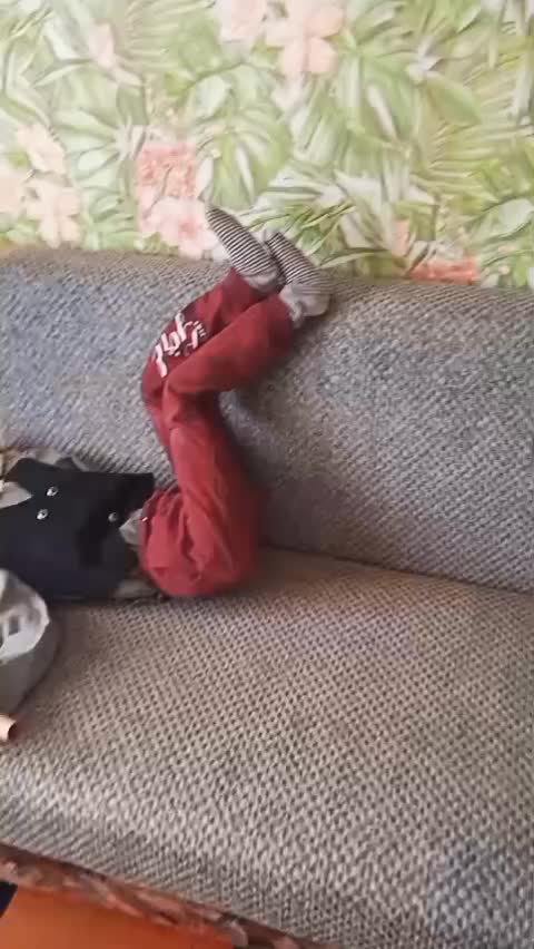 @Коля Оля