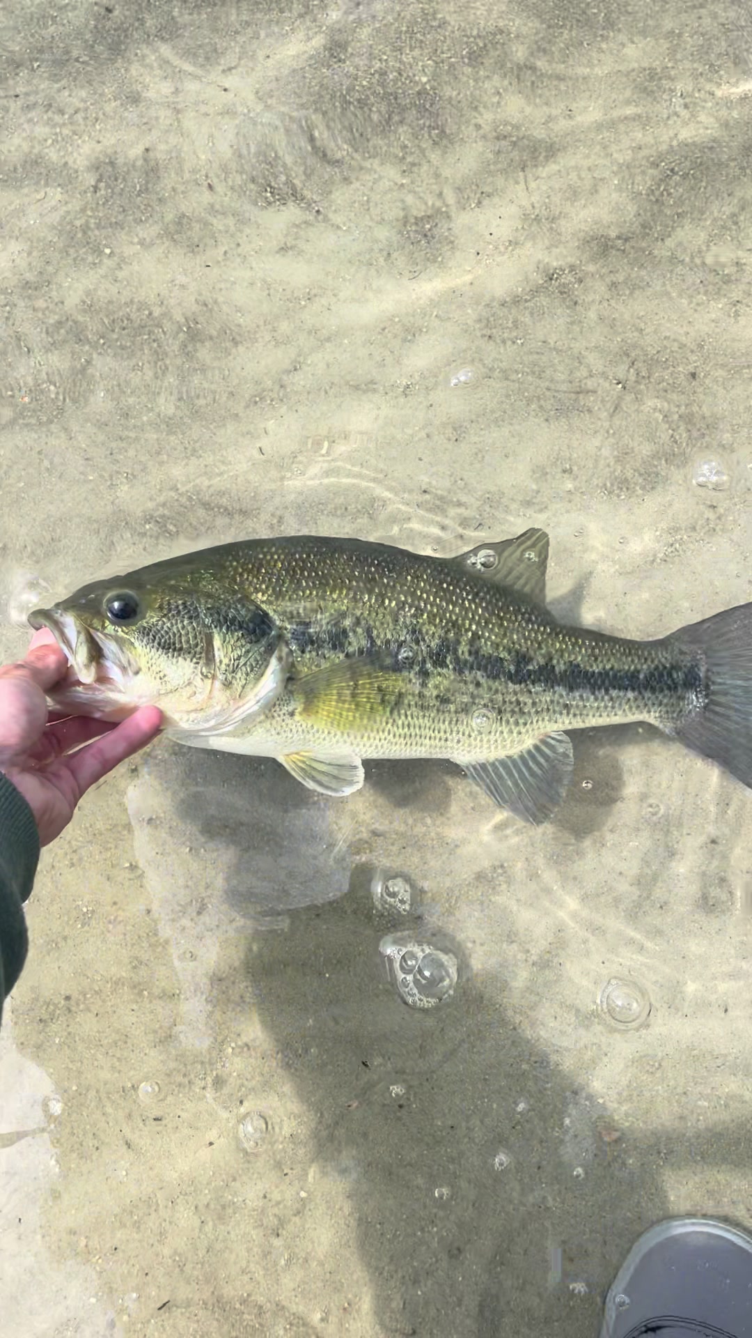 @sams.fishing_