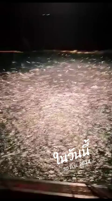 @Anas Tamaraksa
