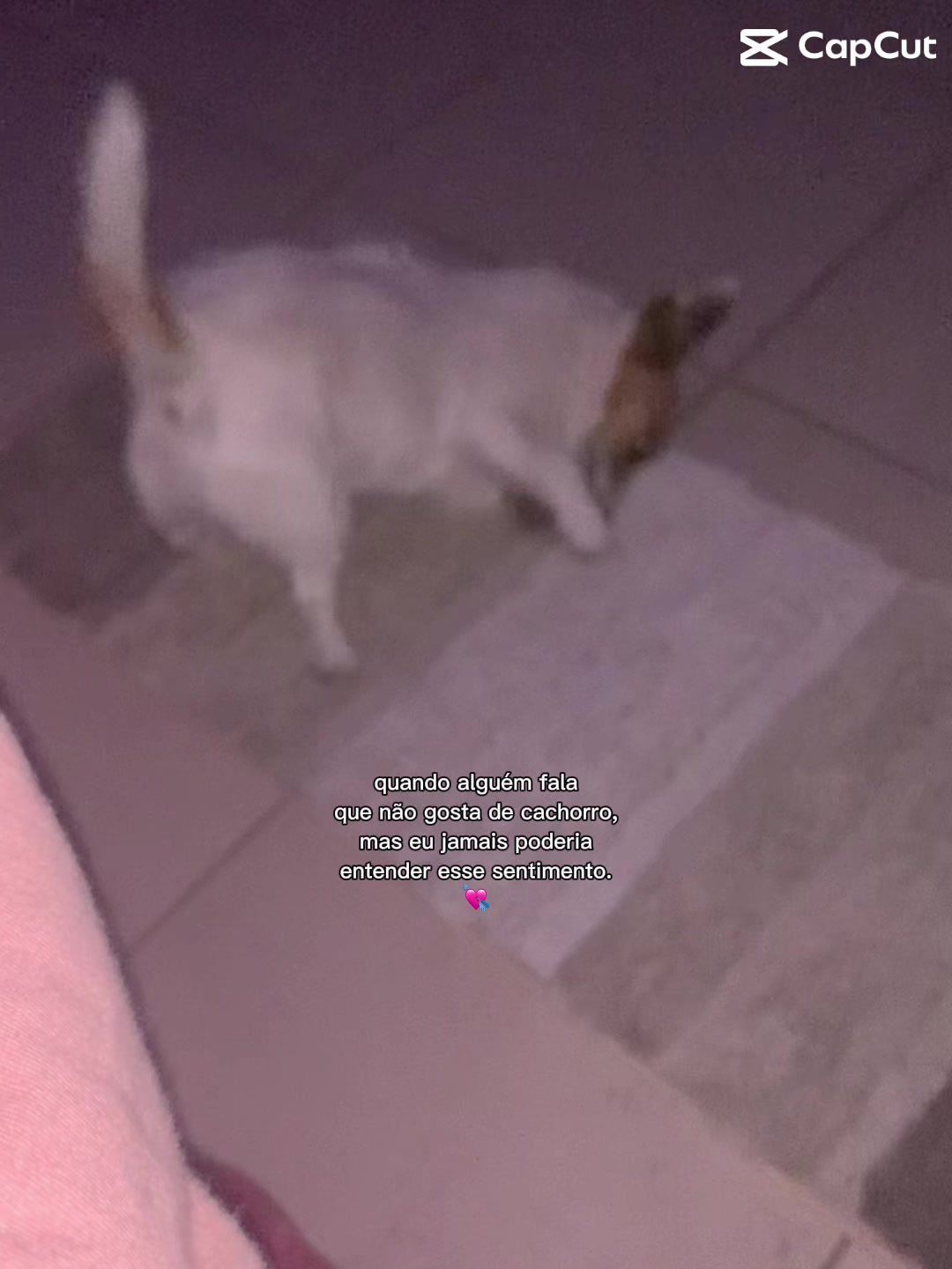 @elisa.divertida