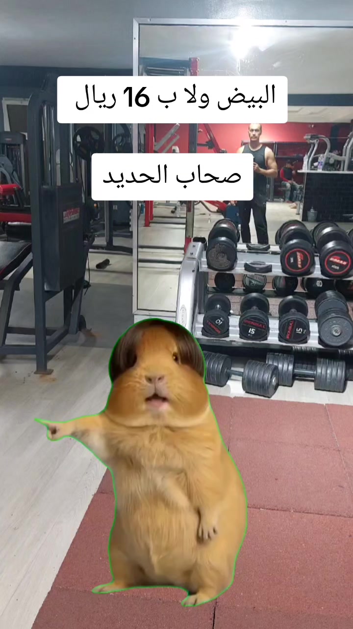 @Issam El Haddioui