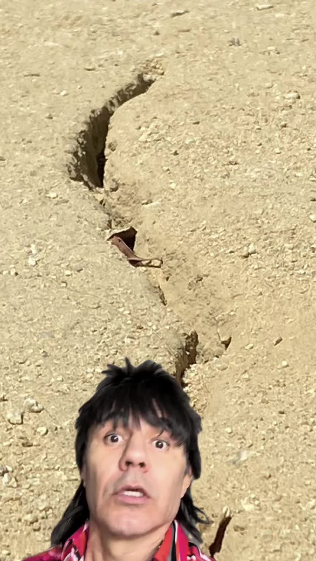 @viralmemeloop