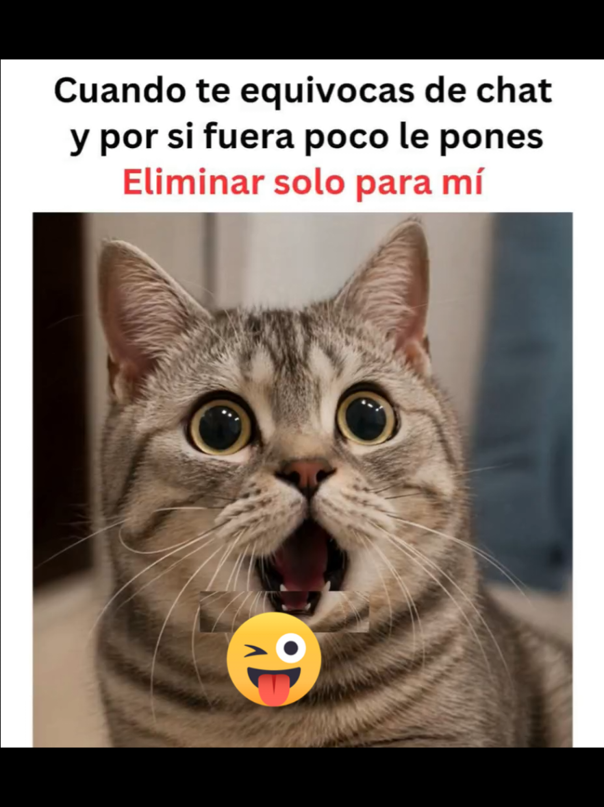 @𝓕𝓮𝓵𝓲𝓬𝓱𝓸 :p