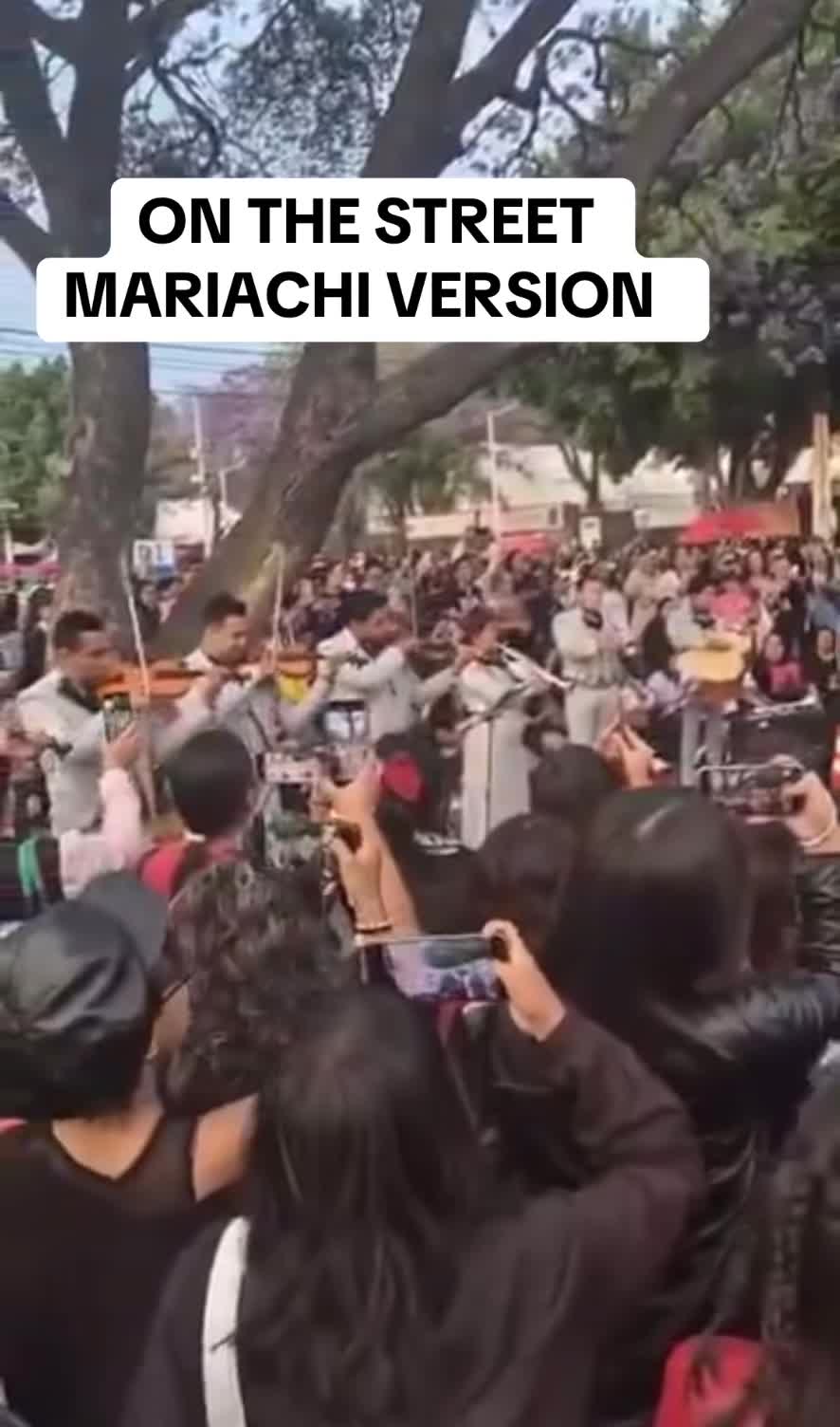 @mxcharts