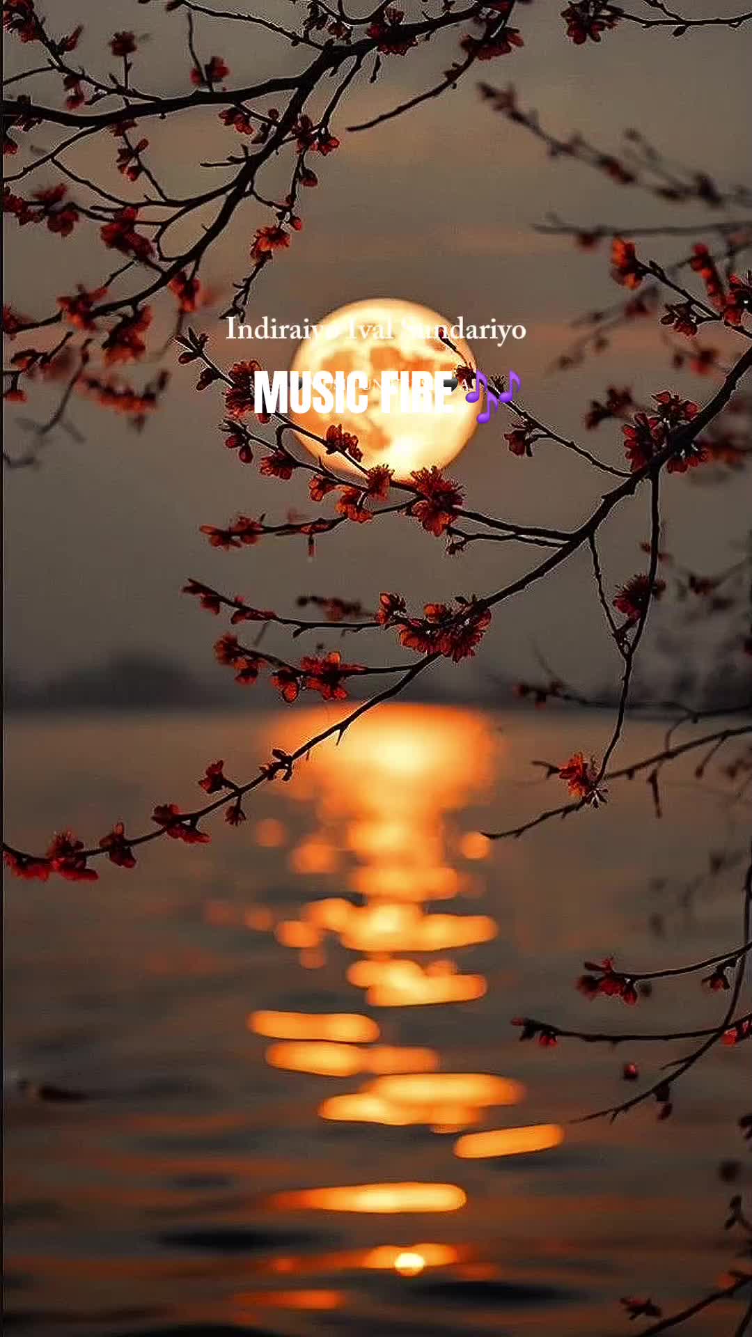 @โโ๐๐ฆ๐ค๐๐๐ฝ๐๐ฃ๐โโ
