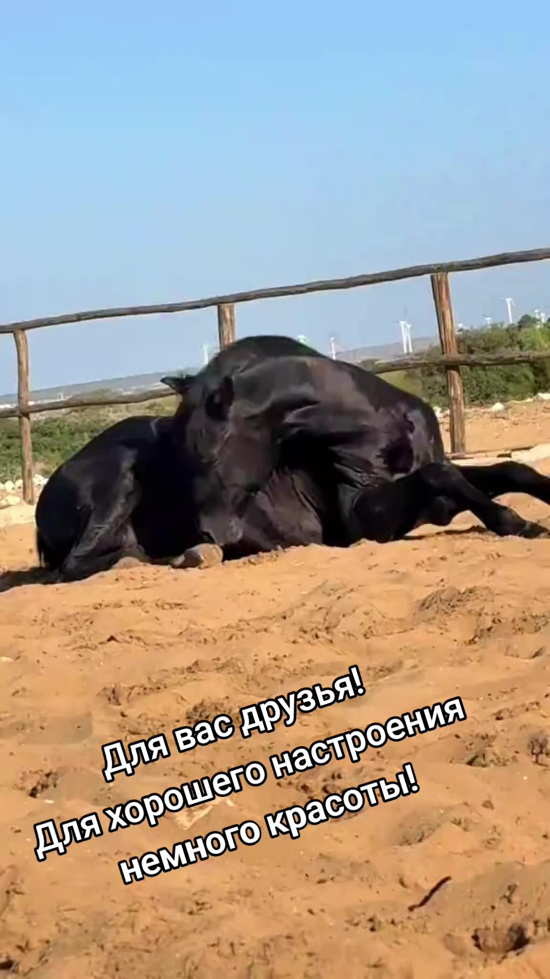 @Валентина Гусева