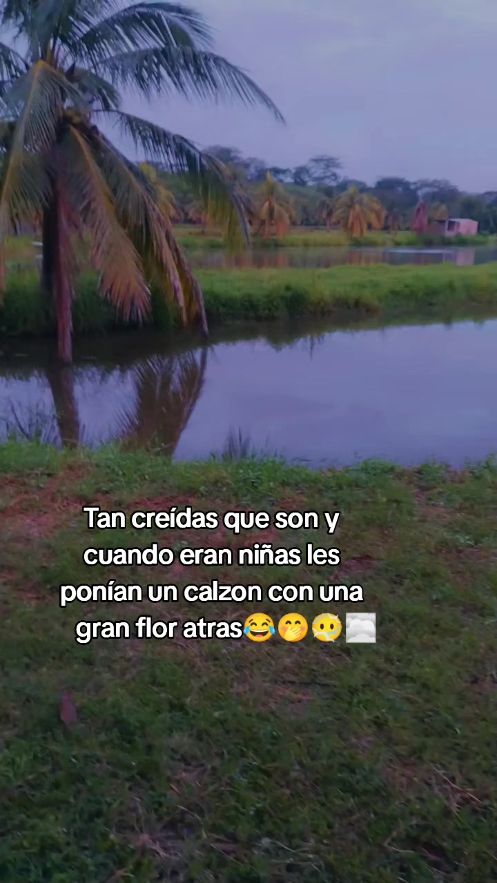 @🐥 Juan🐣