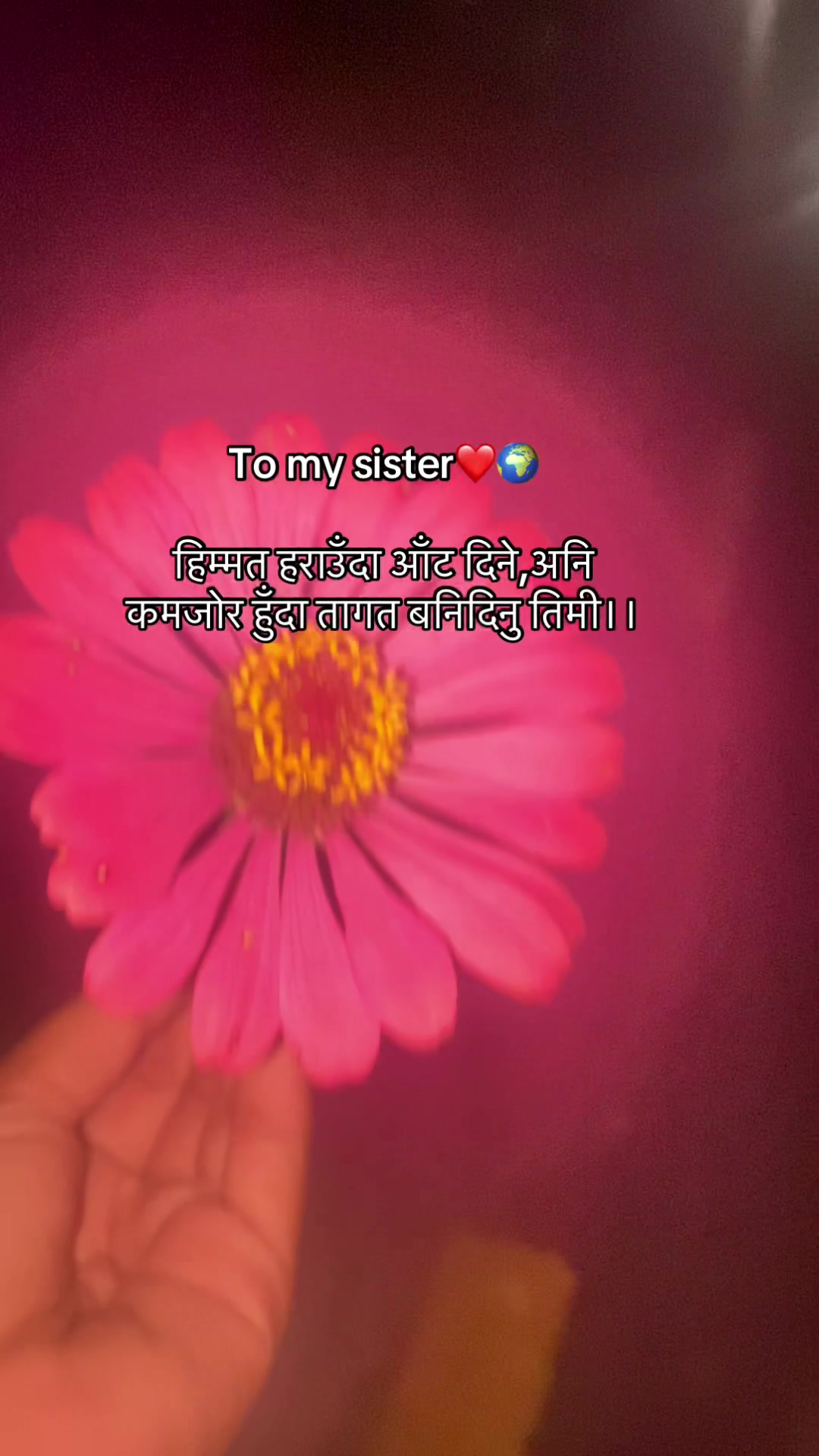 @ЁЯМП