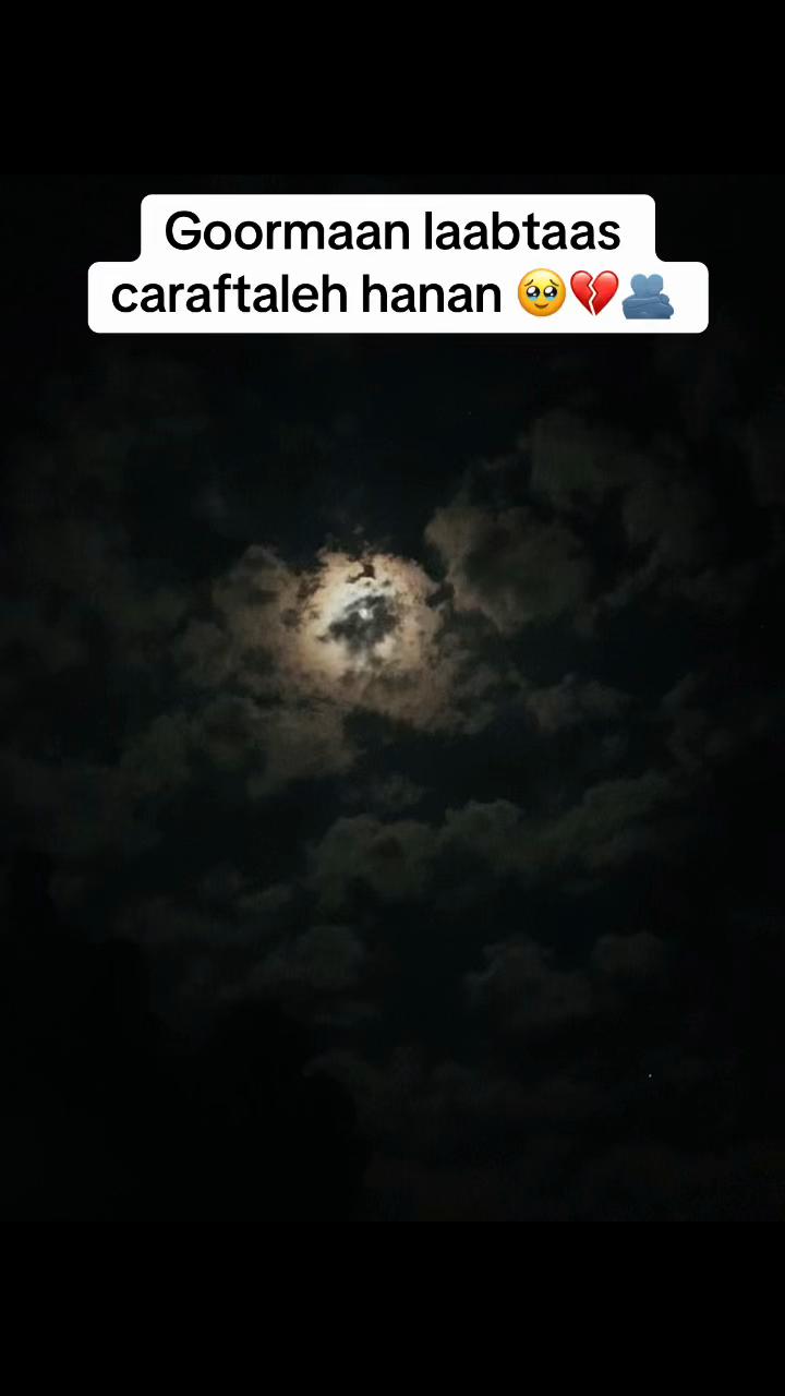 @Xamda02