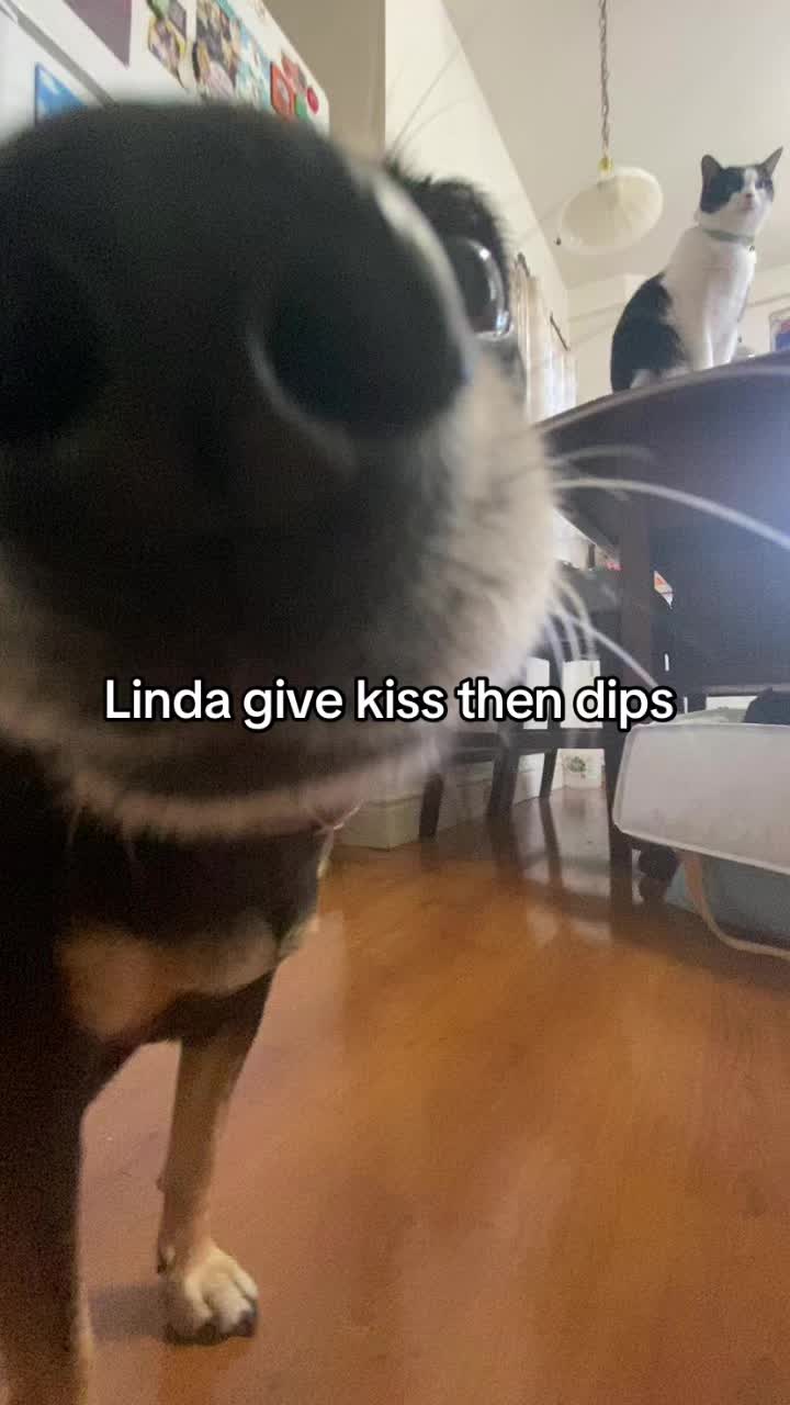 @Linda Longnips