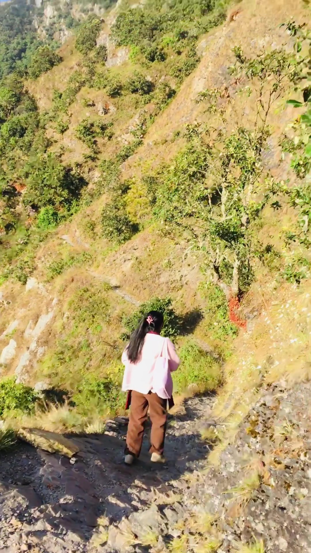 @HEMAA
