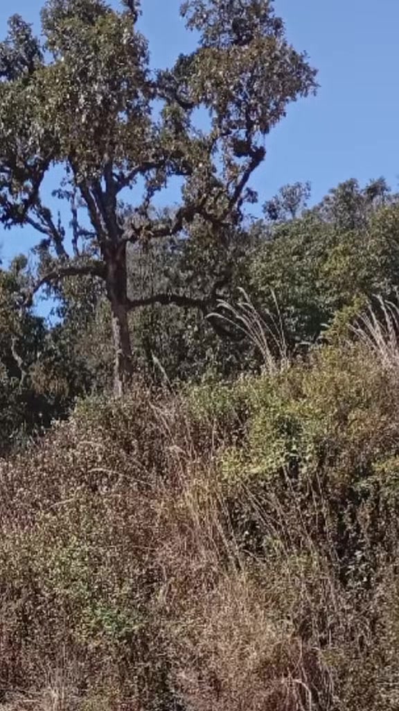 @Muskankhatri98580