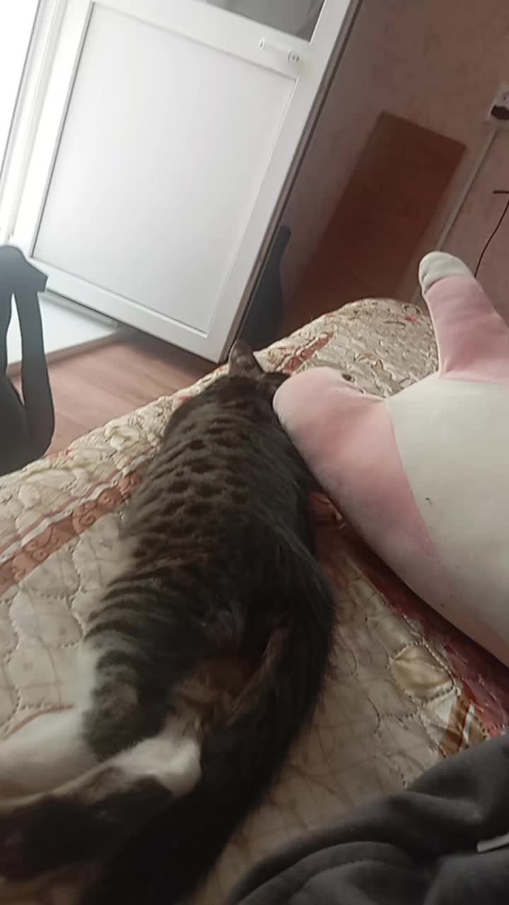 @нетакуся 😍