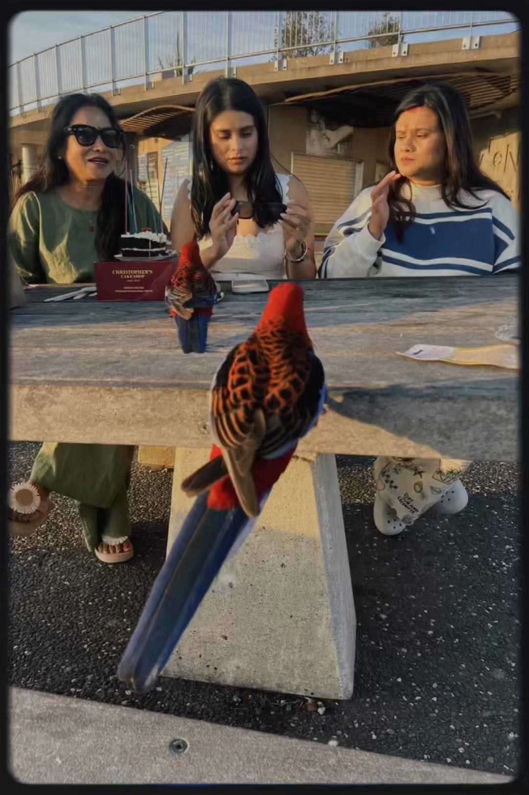 @Kalpana Khadka