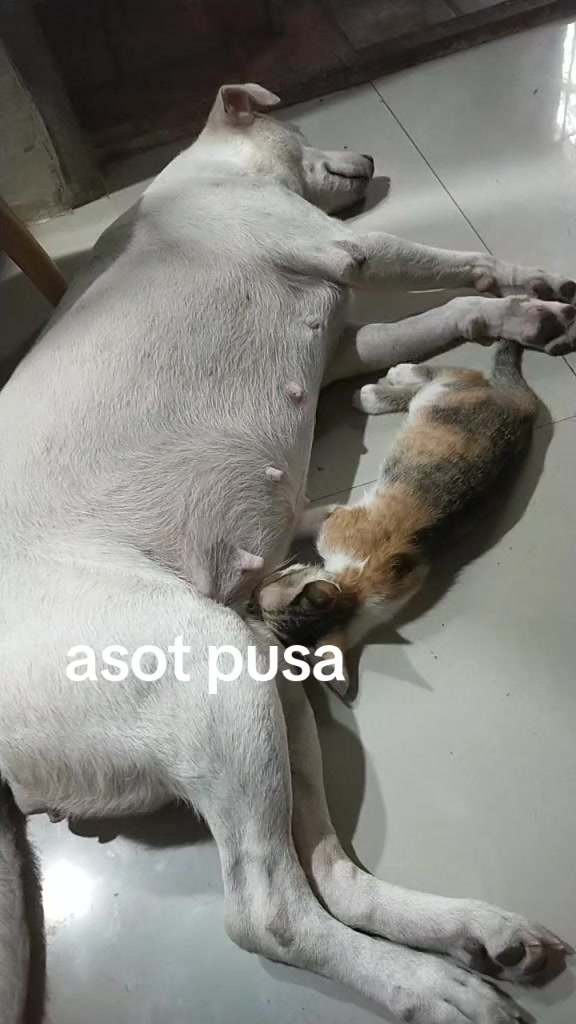 @marichubulayo