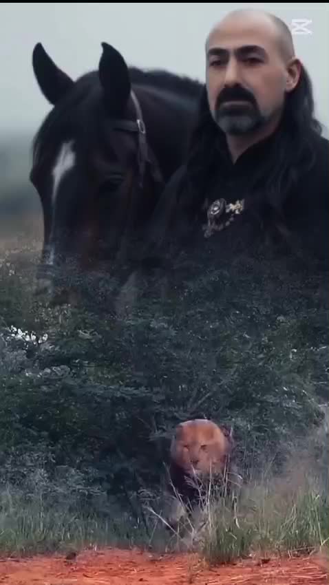 @Mehmet &ccedil;ift&ccedil;i💔33