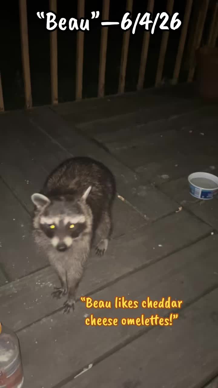 @LoneWolfKritterKam