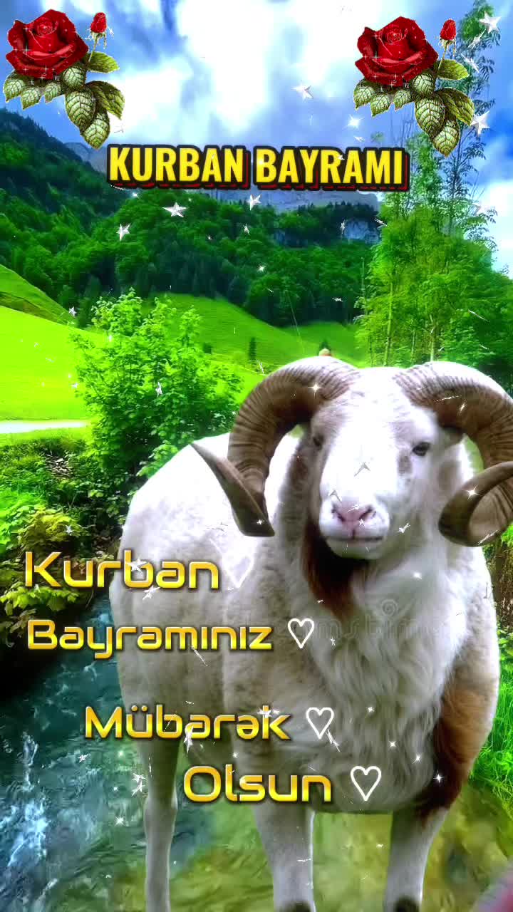 @💫✨Huzurum İslam✨💫
