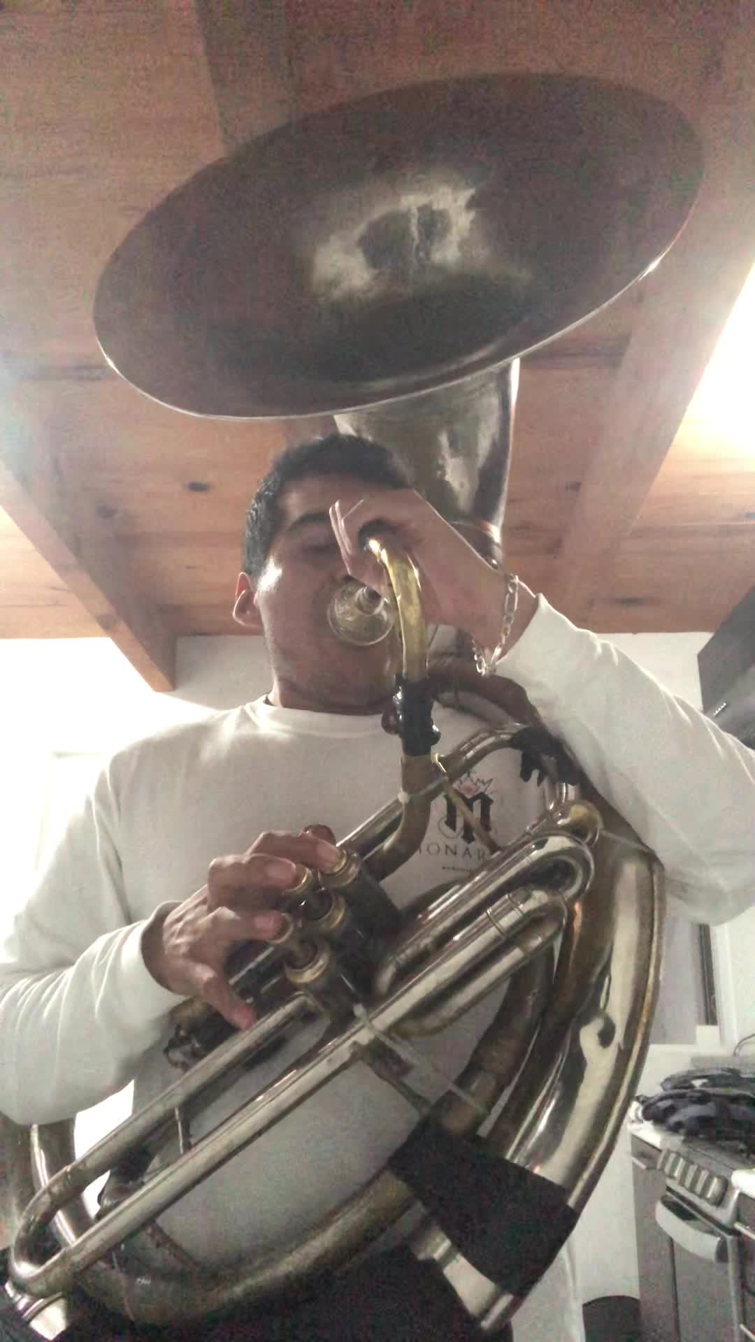 @Maestro_Tuba1