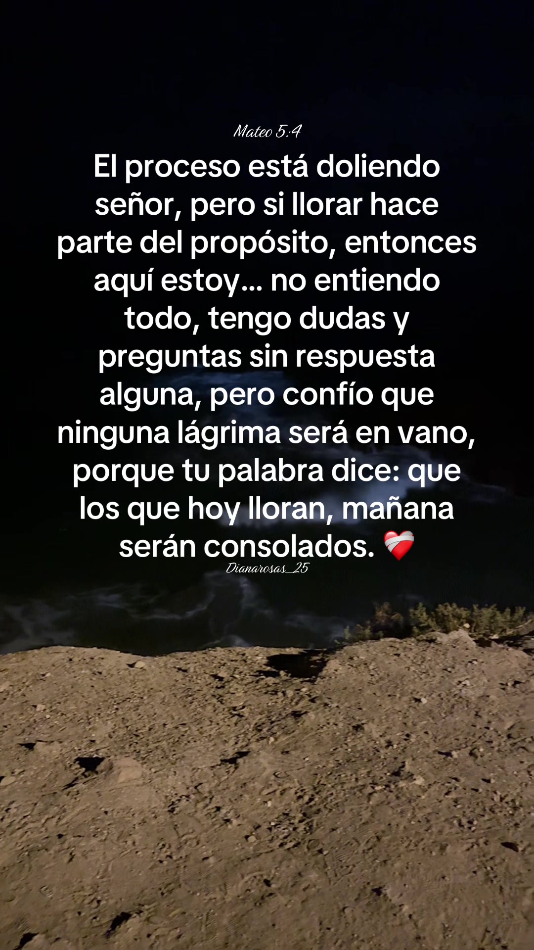 @✨🌻💛