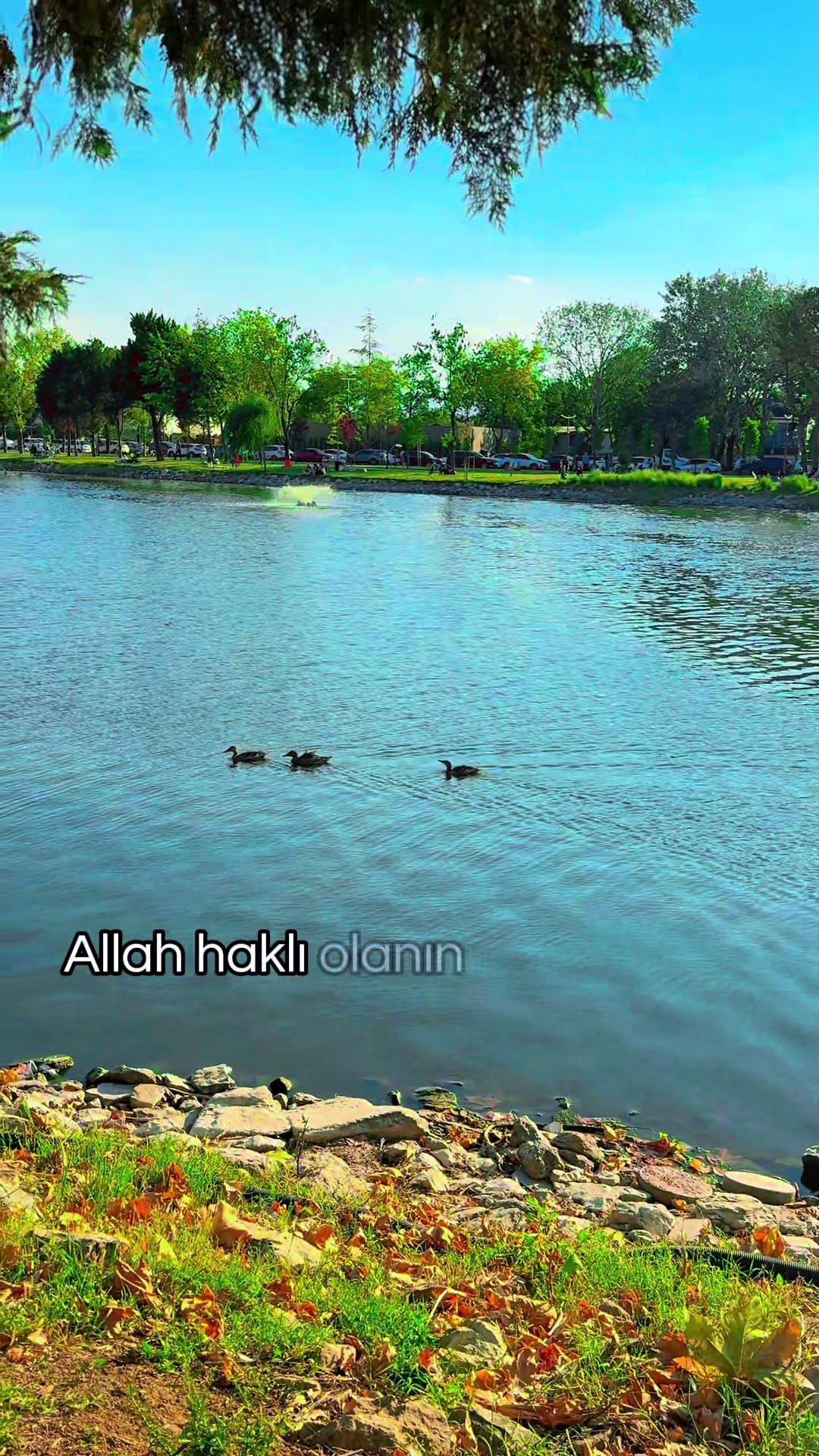 @Drone&ccedil;ekimigebze