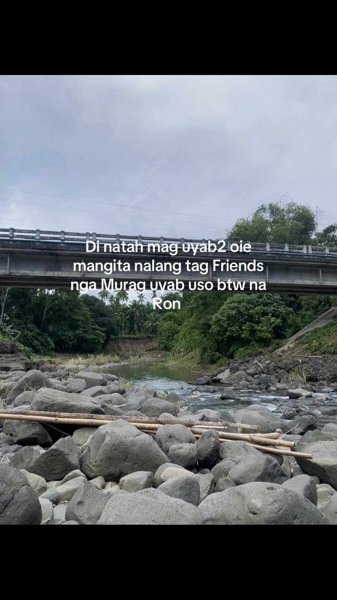 @koi nimo