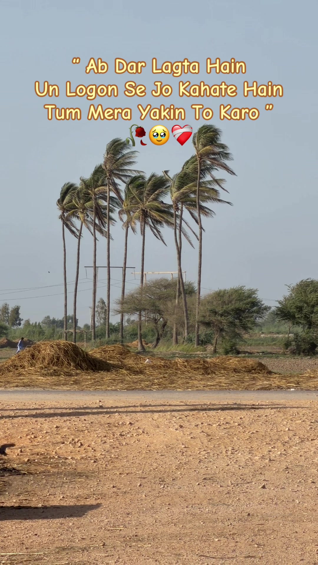 @🧸SHAHZAIB VLOG 👑 ⚡️ 🇵🇰🇲🇿