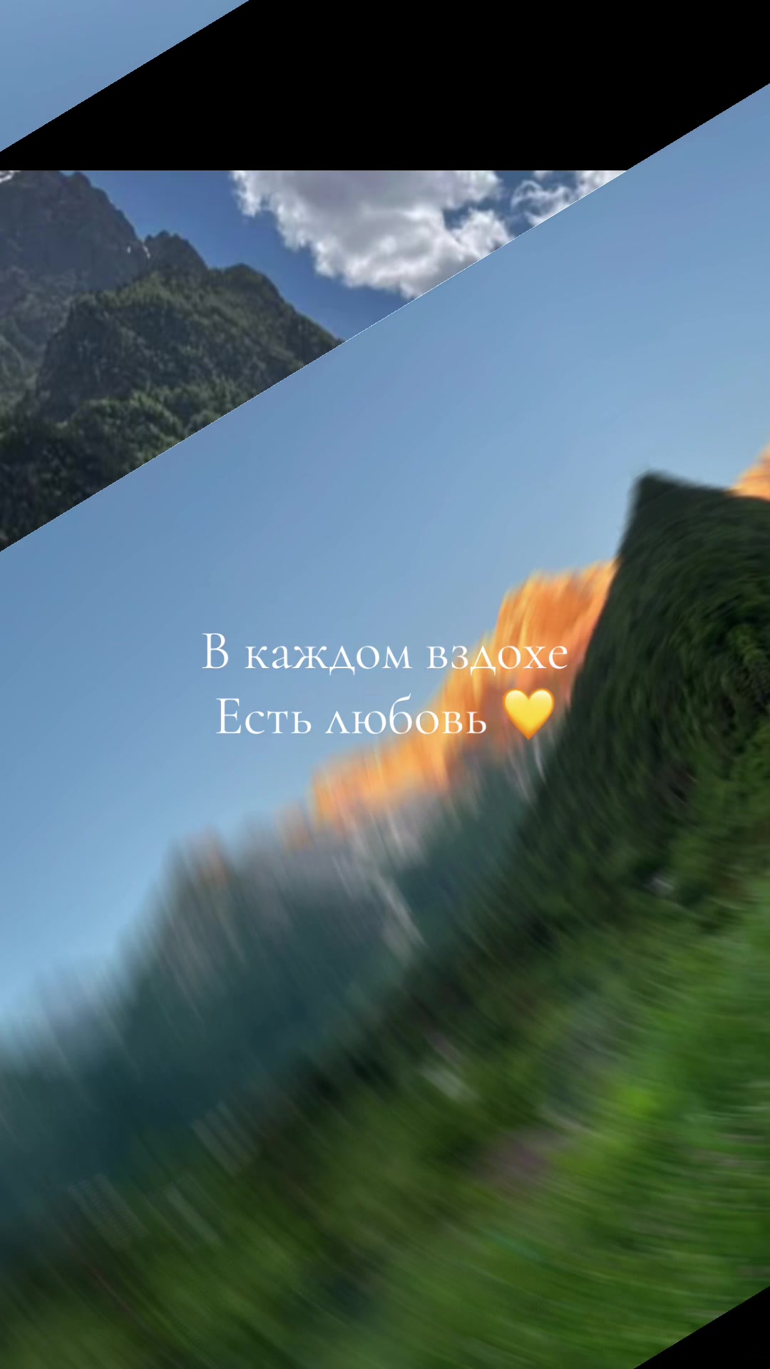 @akitakot2