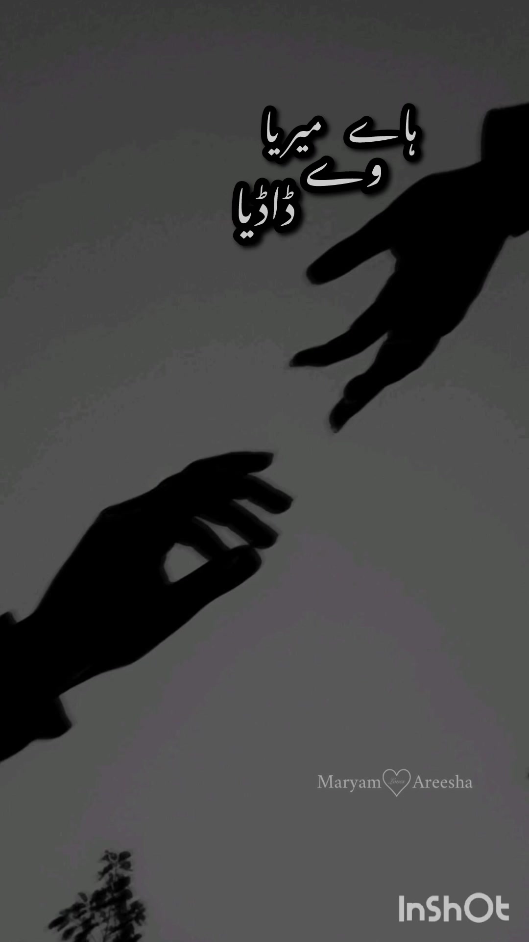 @𝓓𝓾𝓼𝓴𝔂 𝓖𝓵𝓸𝔀
