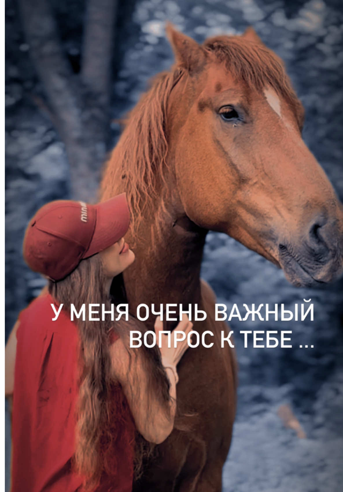 @Вера/лошади/обучение лошадей