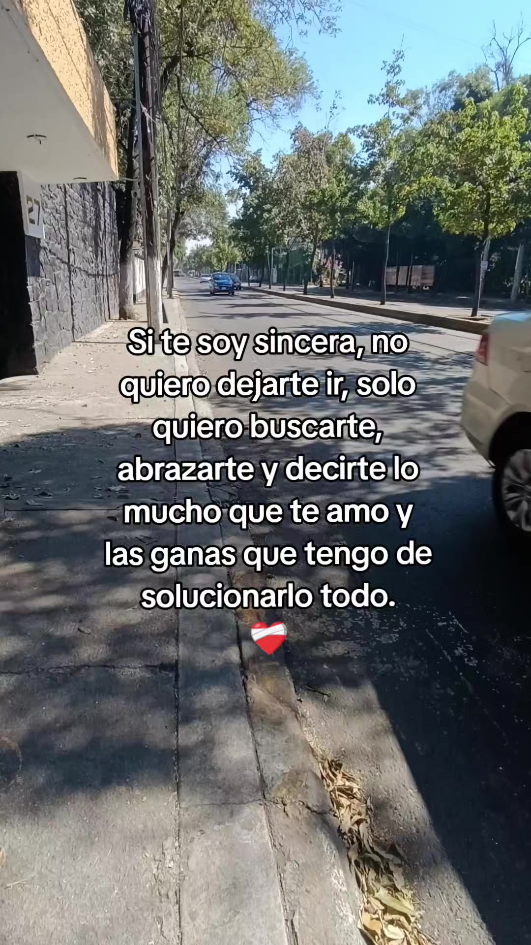 @Leslie DommWall