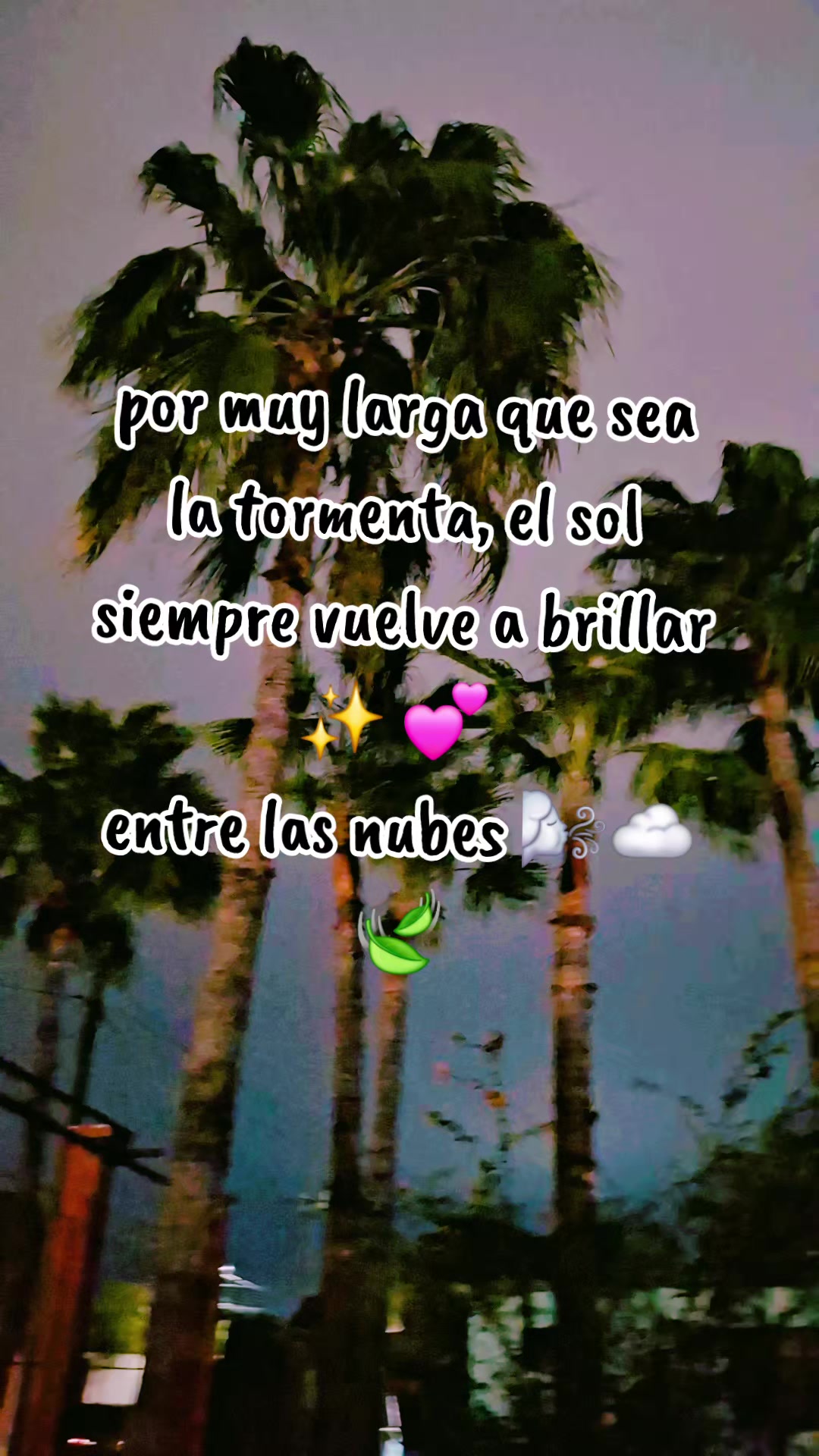 @💛✨ ODALYS 💛✨