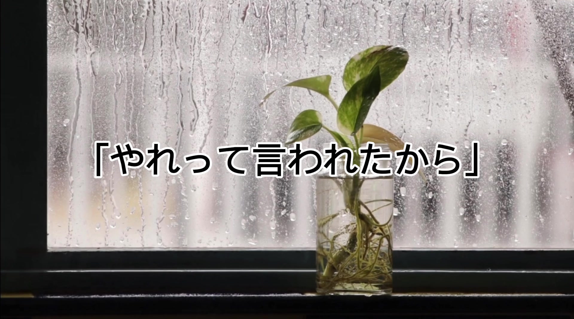 @ふぶき