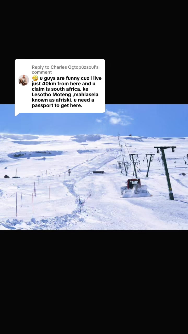@ZANDIE SA🇿🇦