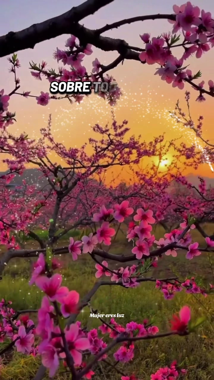 @🌸 Mujer eres luz ✨