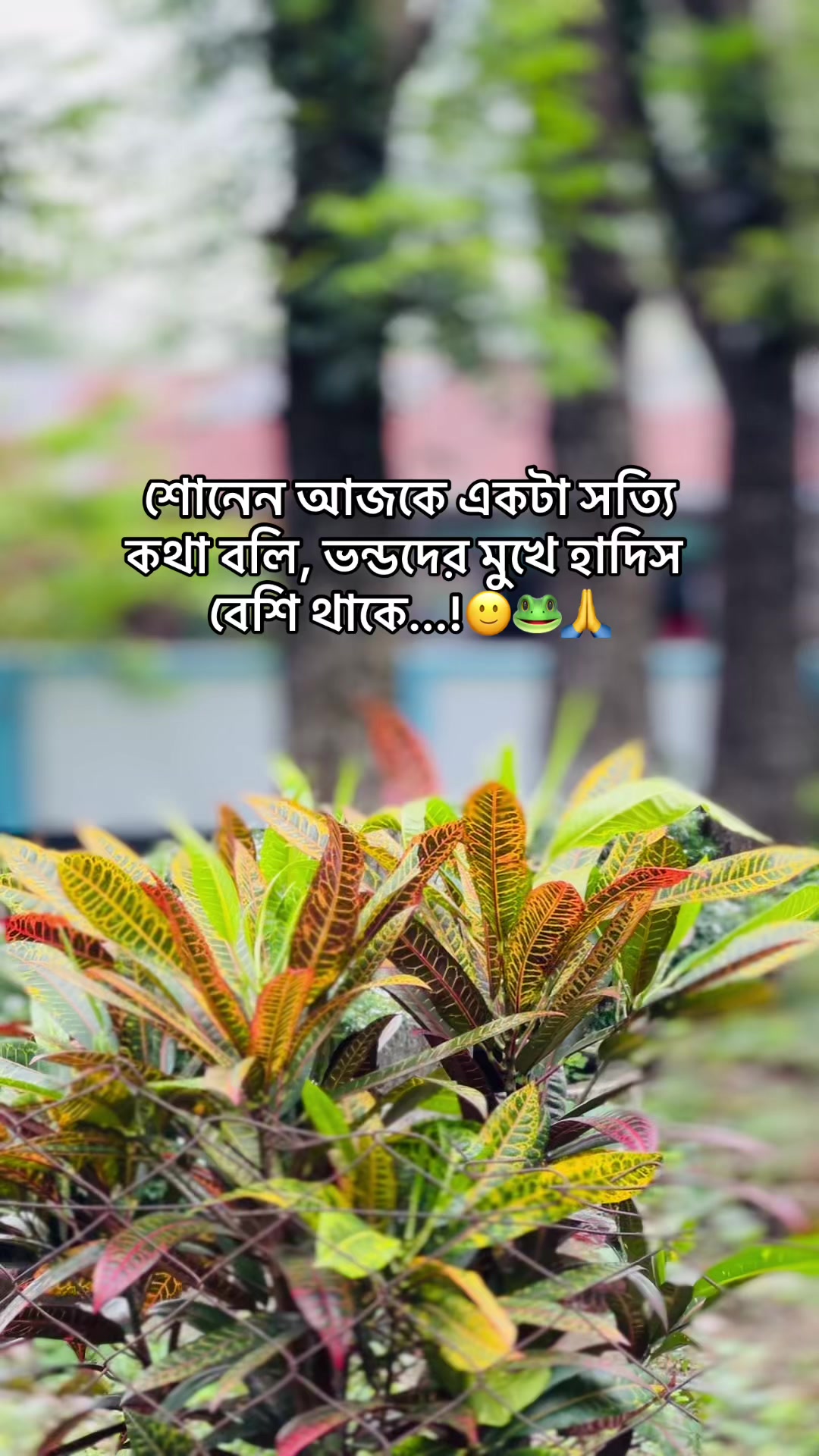 @BD_(ভন্ড)_ jihad🕊️