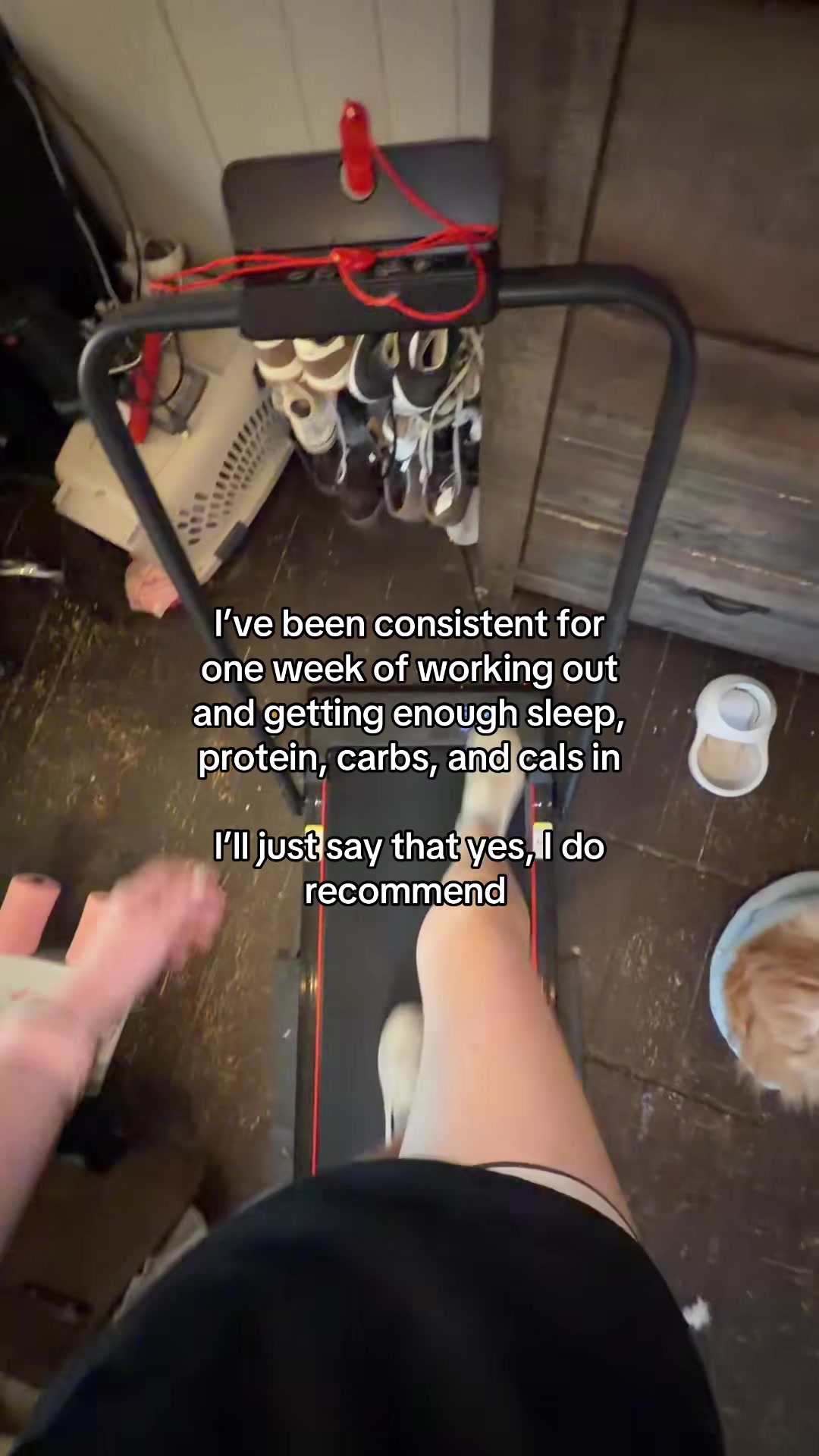 @𝘮𝘢𝘨𝘨𝘪𝘦