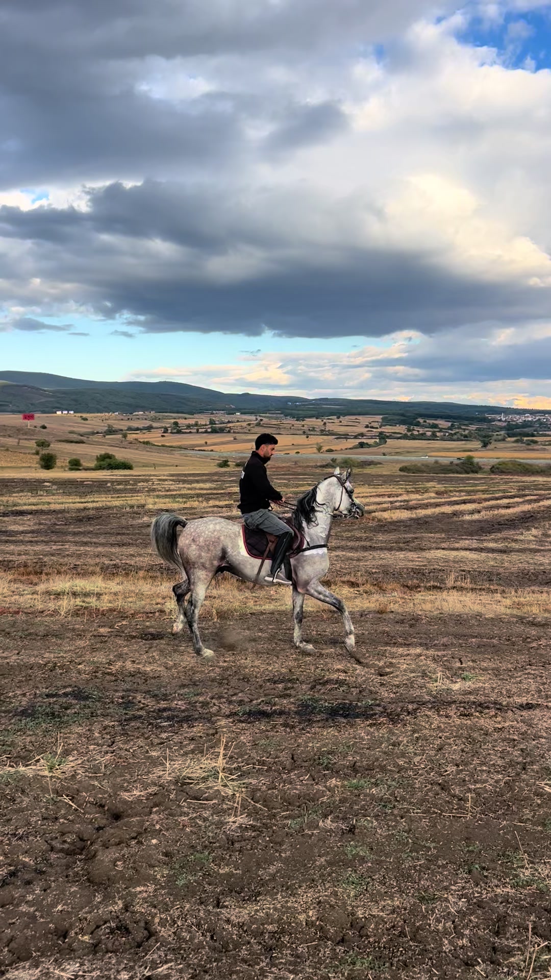 @BERTI RANCH 🐎
