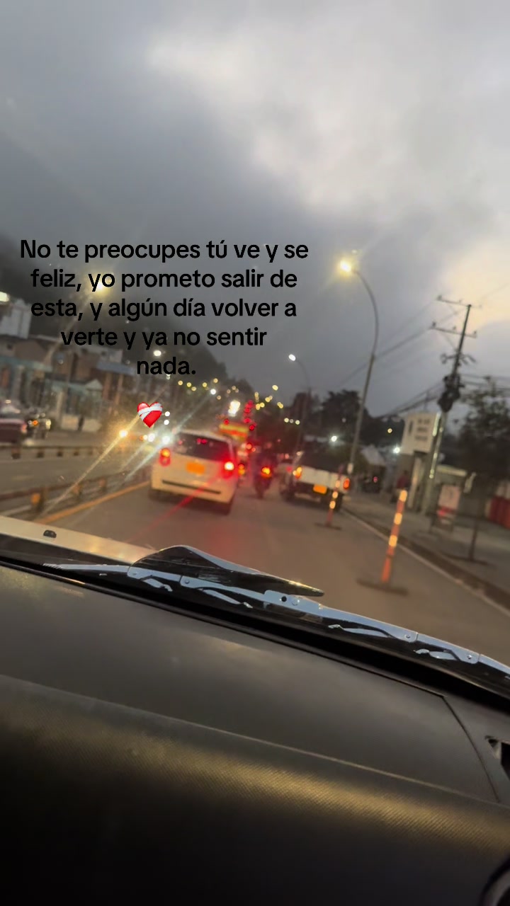@daniela503.11
