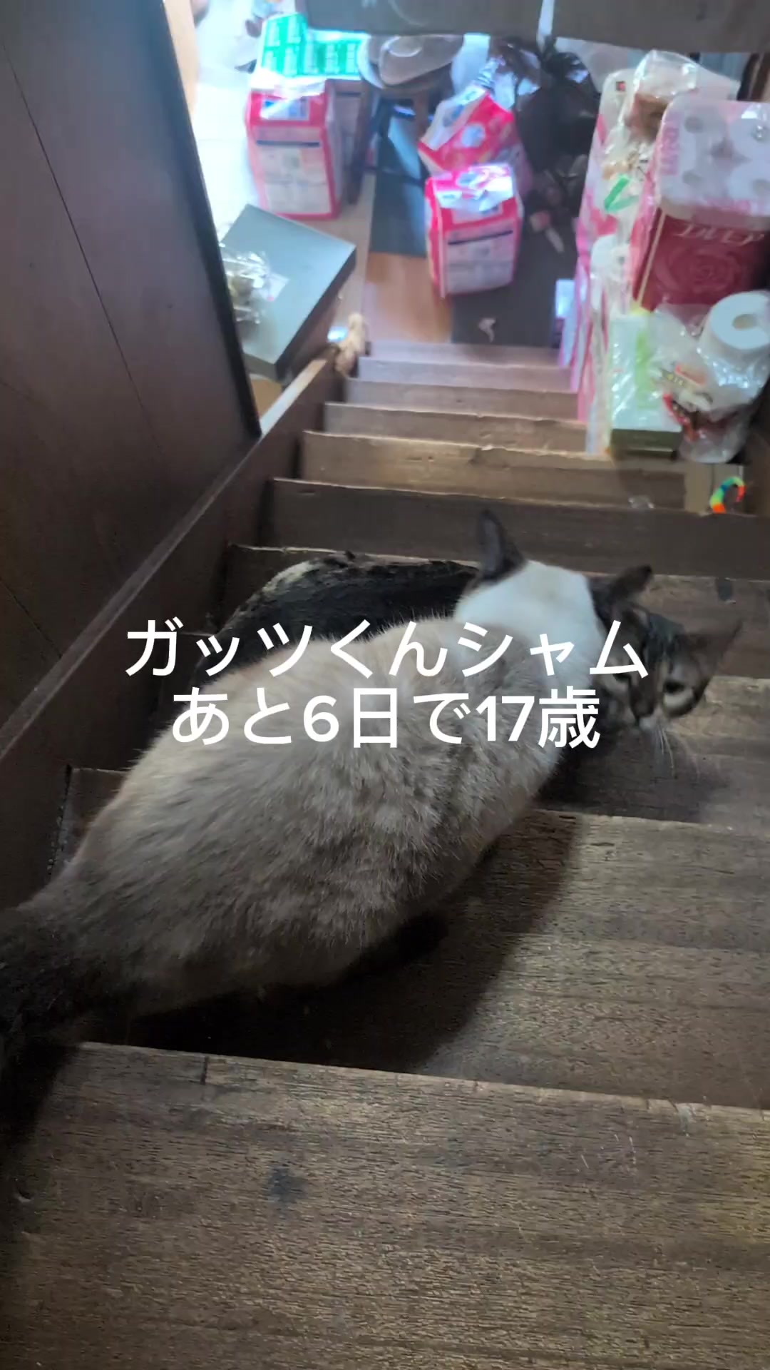 @睡眠プロデュース
